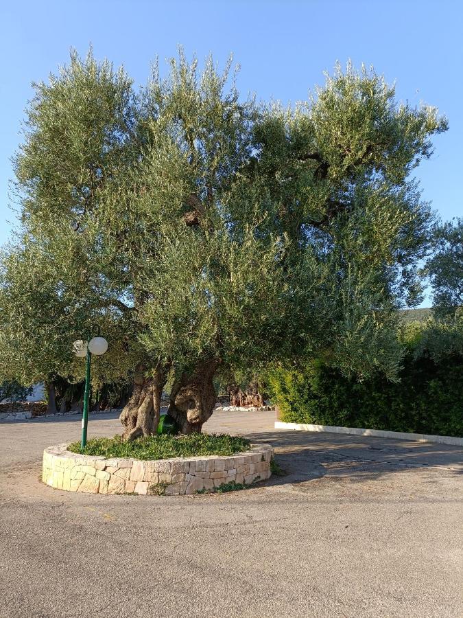 Masseria Galleppa By Apulia Hospitality Macchia di Monte Экстерьер фото